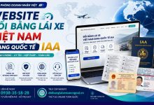 Website đổi bằng lái xe Việt Nam sang quốc tế IAA