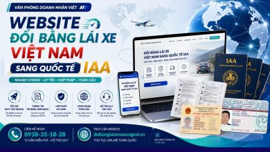Website đổi bằng lái xe Việt Nam sang quốc tế IAA