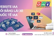 Website IAA đổi bằng lái xe quốc tế IAA
