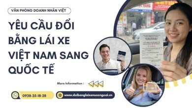 Yêu cầu đổi bằng lái xe Việt Nam sang quốc tế